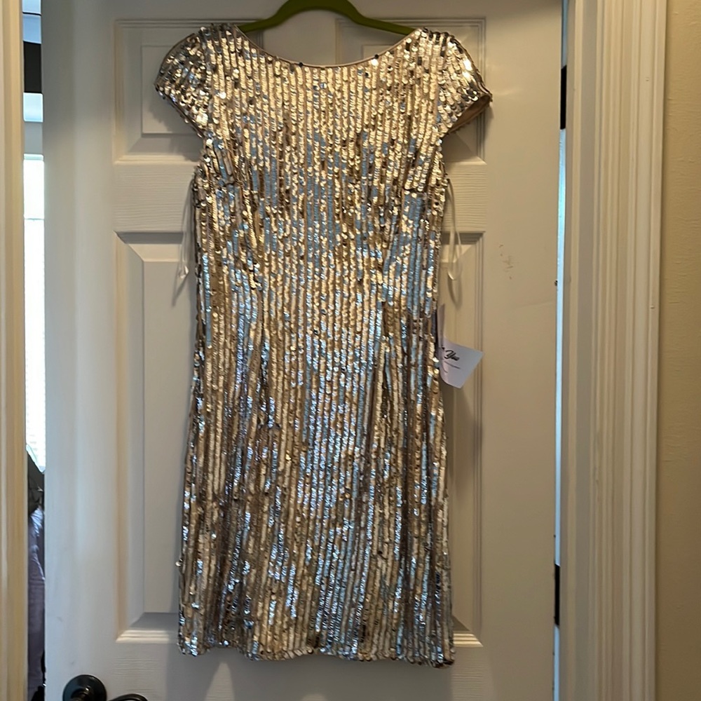 Minuet Champagne sequin knee length dress.